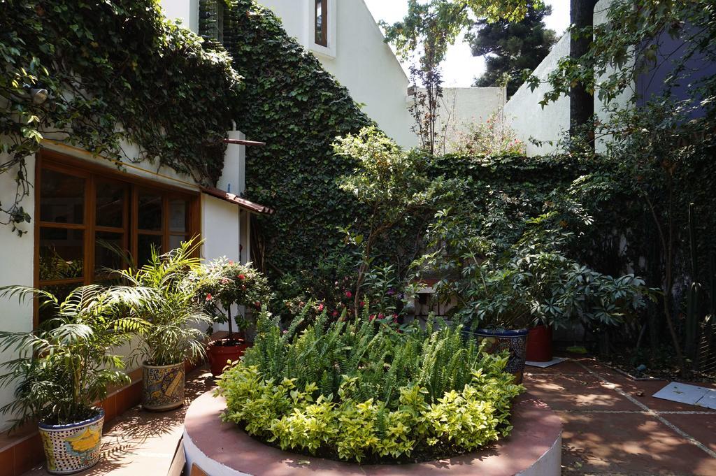 Casa Jacinta Guest House Mexico-stad Buitenkant foto