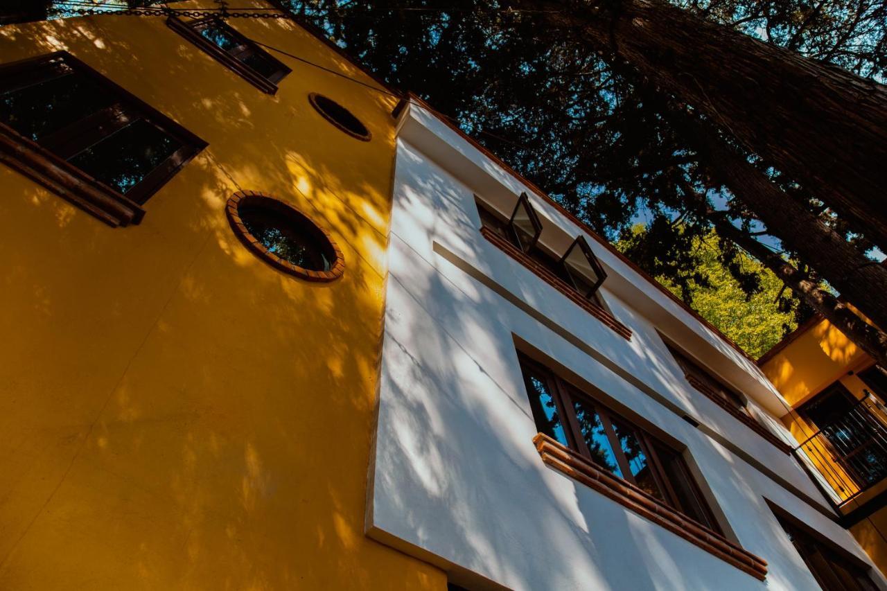 Casa Jacinta Guest House Mexico-stad Buitenkant foto